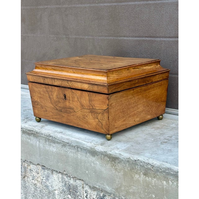Early 19th Century Large English Regency Sarcophagus Shaped Rosewood Tea Caddy, Circa 1830 For Sale - Image 5 of 14