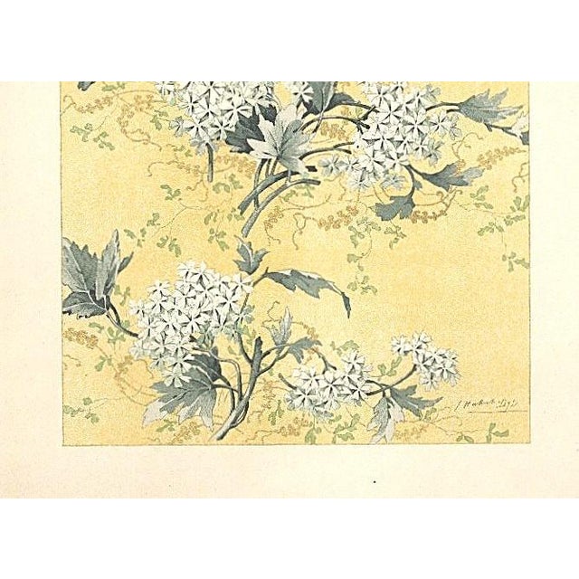 Art Nouveau C1900 French Art Nouveau Botancial Design Chromolithograph-Snowball Blossom by Habert Dys For Sale - Image 3 of 4