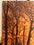 Burnt Orange Steve Schaaf Contemporary Autumn Serenity For Sale - Image 8 of 9