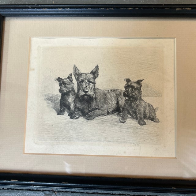 1940’s original rustic Scottish terrier family etching. Image measures about 5x4 and 9.5x7.5 framed.pencil signed bottom...
