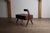Desk with Integrated Lamp by Pierre Jeanneret for Chandigarh, 1950s For Sale - Image 14 of 18