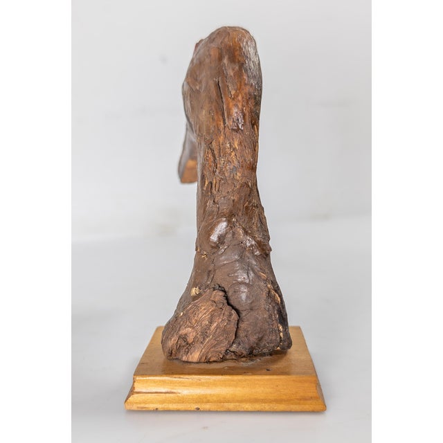 Mid-Century Folk Art Found Driftwood Painted Goose or Duck Head For Sale In New York - Image 6 of 9