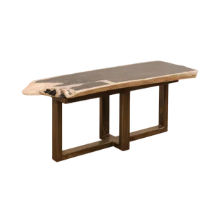 Organic Modern Petrified Wood Coffee Table or Bench