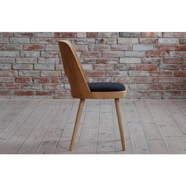 Dining Chairs by Oswald Haerdtl, 1950s, Set of 8 For Sale - Image 14 of 18