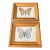 Small Vintage Butterfly Prints For Sale