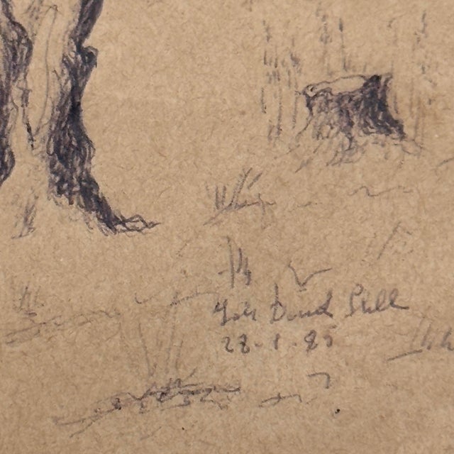 An original Italian pen and ink drawing, signed and dated 1993, depicting a solitary ancient gnarled tree with twisting...