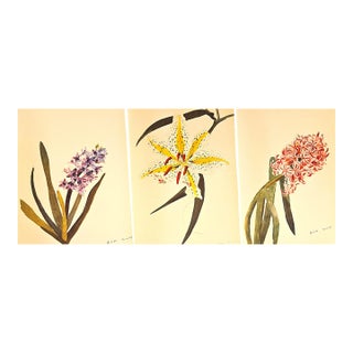 1940 Set of 3 Mid-Century French Arlette Davids Botanical Prints- Hyacinths, Lily For Sale