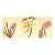 1940 Set of 3 Mid-Century French Arlette Davids Botanical Prints- Hyacinths, Lily For Sale