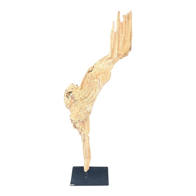 Antique Driftwood On Metal Stand For Sale