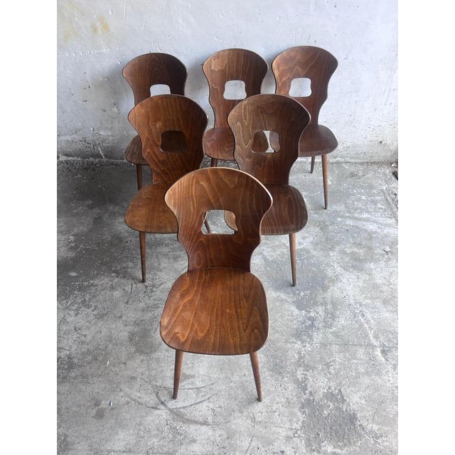 Plywood Dining Chairs from Baumann, France, 1950s, Set of 6 For Sale - Image 3 of 9