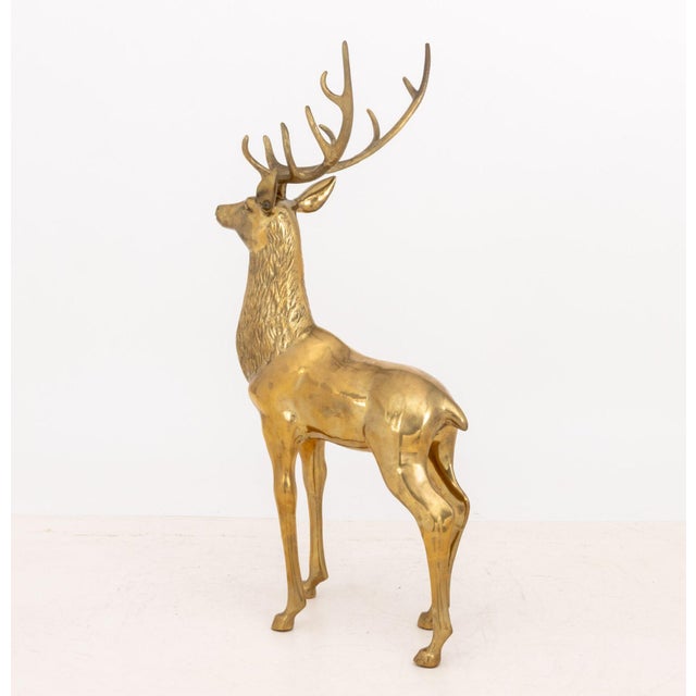 Pair of Stag and Doe Large Brass Sculptures For Sale - Image 10 of 11