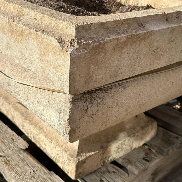 Cream French Bourguignon Stone Jardiniere For Sale - Image 8 of 12