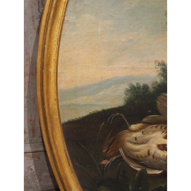 Pair of French Antique Hunt Trophy Paintings in Giltwood Frames, 19th Century For Sale In Dallas - Image 6 of 18
