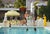 Poolside Gathering 1970 anuary 1970: The Kaufmann Desert House in Palm Springs, California, designed by Richard Neutra in...