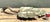 Vintage Hammered Metal Leaf Tray With Horn Handle For Sale - Image 10 of 12