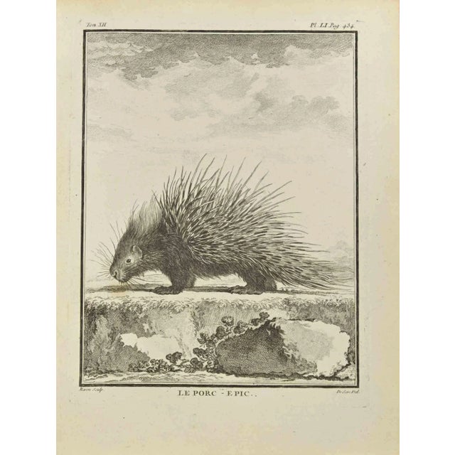 Le Porc is an etching realized by Jacques Baron in 1771. It belongs to the suite "Histoire Naturelle de Buffon". The...