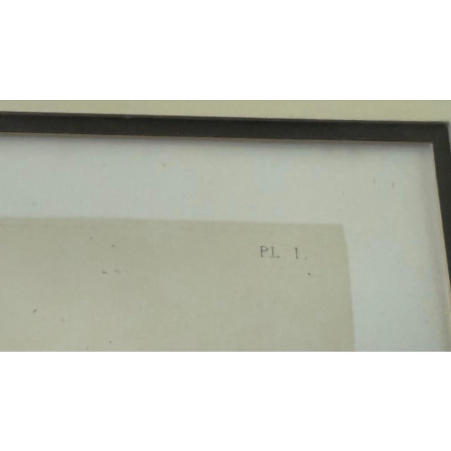 Brown Framed Thomas Sidney Cooper Tinted Lithograph Titled "A Summers Noon" For Sale - Image 8 of 11