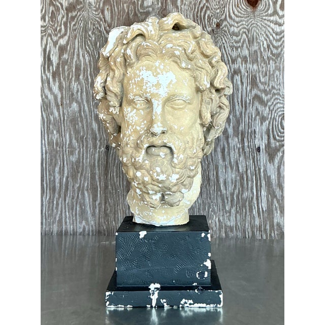 Mid 20th Century Vintage Grand Tour Plaster Bust of Man For Sale - Image 12 of 12