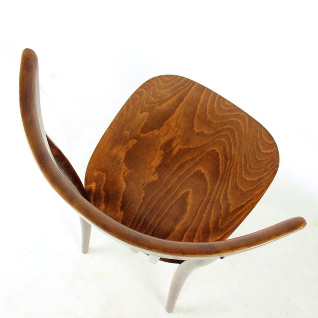 Mid-Century Modern Bistro Chair from Tatra, Former Czechoslovakia, 1960s For Sale - Image 3 of 12