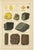 Kenngott, Set of Two Mineralogy Chromolithographs, Fluorite, Amber & Coal, 1888, Paper For Sale - Image 4 of 10