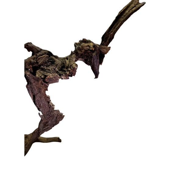 Chestnut Late 20th Century Signed Lubomir Tomaszewski Monumental Wood and Copper Bird Sculpture, 45 Inches For Sale - Image 8 of 15