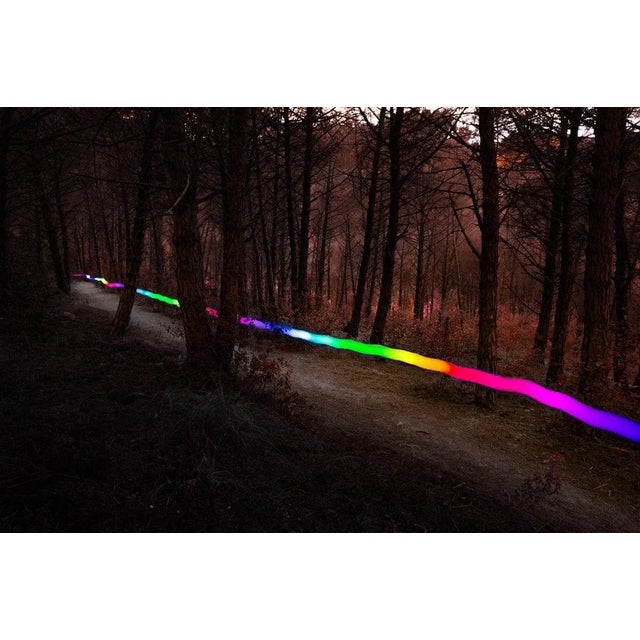 Artur Debat, Trail Following Footpath at Dusk Between the Mediterranean Forest, Photograph, in Flawless conditions....