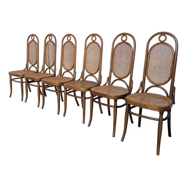 Mid-Century Bentwood Cane Dining Chair, Yugoslavia, 1970s, Set of 6 For Sale