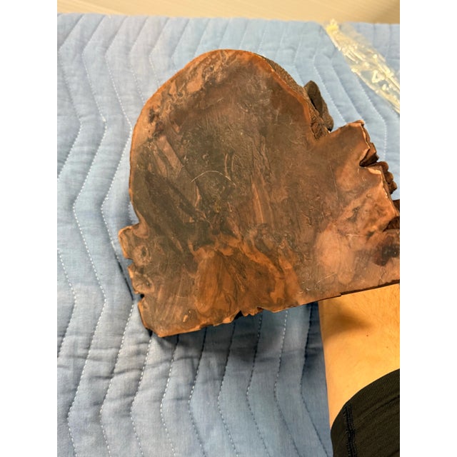 Circa 1860 Walnut Black Forest Dog Tobacco Box For Sale - Image 10 of 11