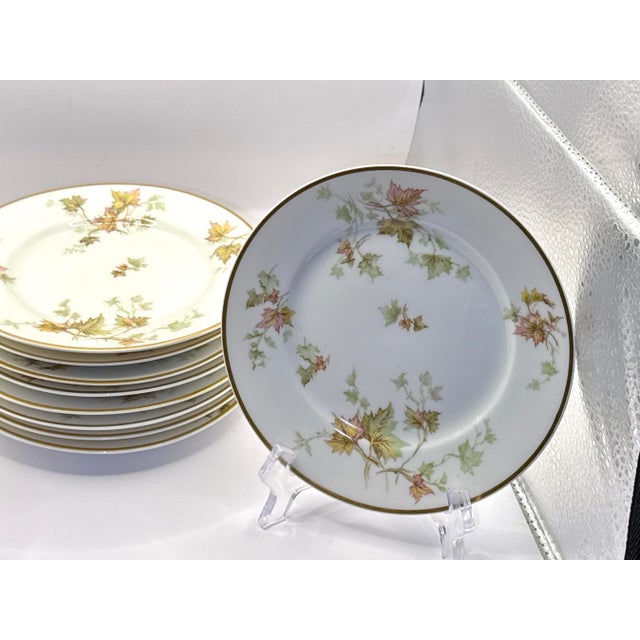 Limoges Haviland Autumn Leaf Gold Trim Dessert Plates - Set of 10 For Sale In New York - Image 6 of 9