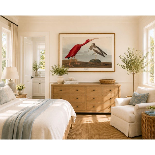 Scarlet Ibis by John James Audubon, Vintage Art Print Reproduction, 16" × 12" For Sale - Image 4 of 10