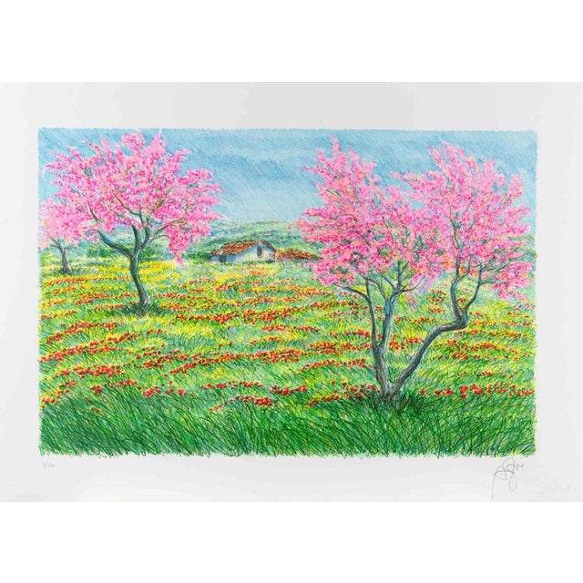 Lithograph on paper realized by Franco Azzinari in 1980s. Hand signed and numbered in pencil. Edition of 130. Excellent...