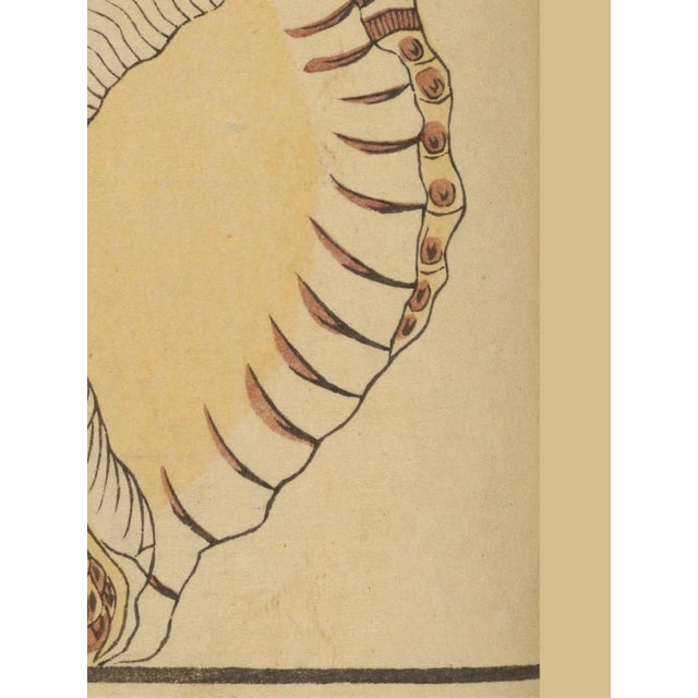 Not Yet Made - Made To Order Vintage Japanese Shell, Woodblock Print Reproduction, 32" X 48" For Sale - Image 5 of 11