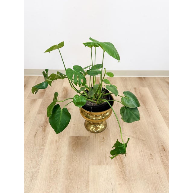 Metal Large Vintage Brass Planter VaseMCM Hollywood Regency Coastal Eclectic For Sale - Image 7 of 8
