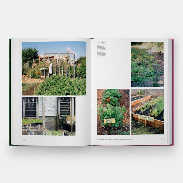 Dark Green The Kitchen Garden For Sale - Image 8 of 13