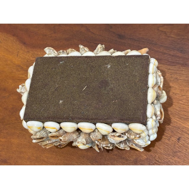 Vintage Palm Beach Style Rectangular Encrusted Shell Box in Neutral Palette For Sale - Image 18 of 18