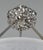 1930s French Art Deco Pendant Light - Birds Glass & Nickeled Bronze For Sale - Image 6 of 7