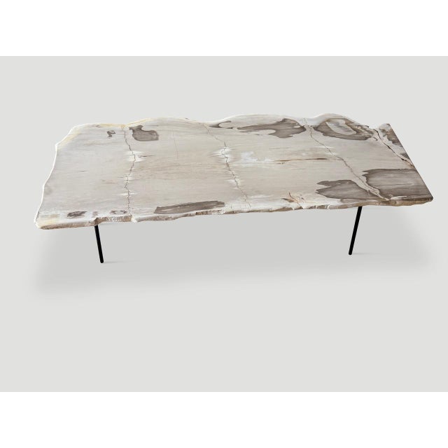 Andrianna Shamaris Minimalist Live Edge Petrified Wood Coffee Table For Sale - Image 16 of 18