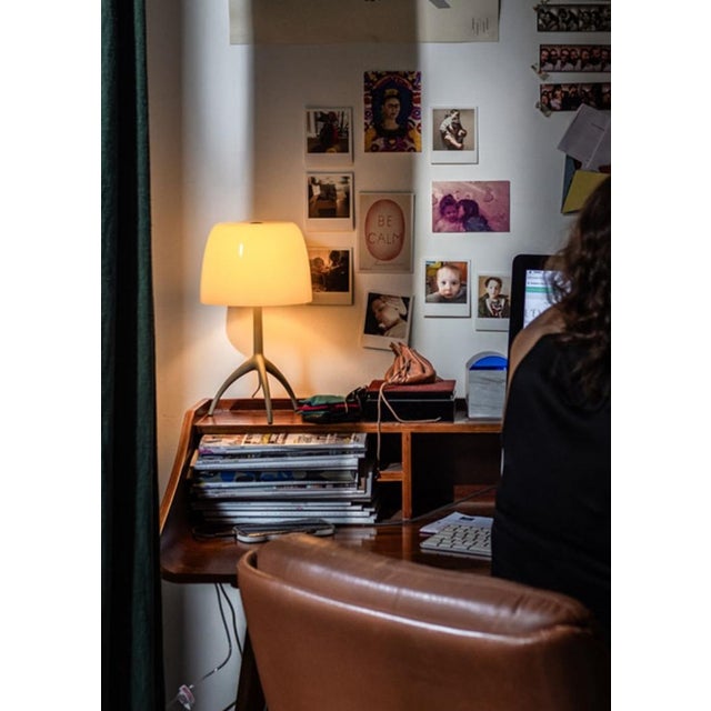 Vintage Table Lamp by Rodolfo Dordoni for Foscarini, 1990 For Sale - Image 13 of 18