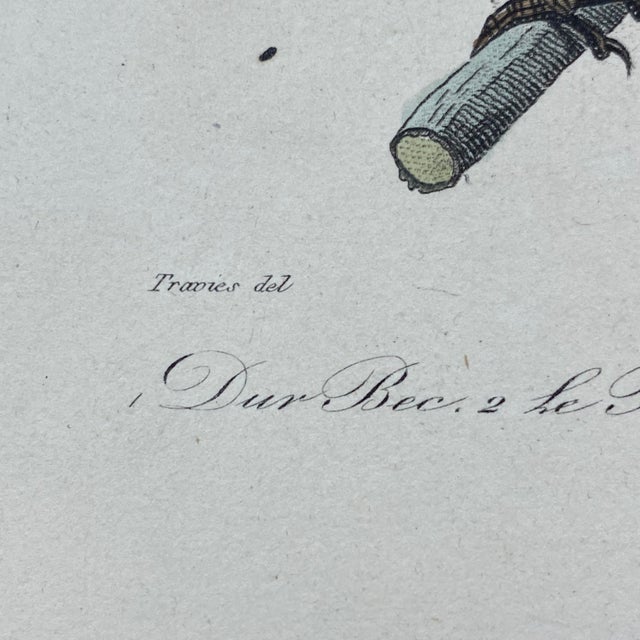 French Antique 18th Century "Dur Bec" Bird Engraving Hand Colored Signed Artwork For Sale In Portland, ME - Image 6 of 9