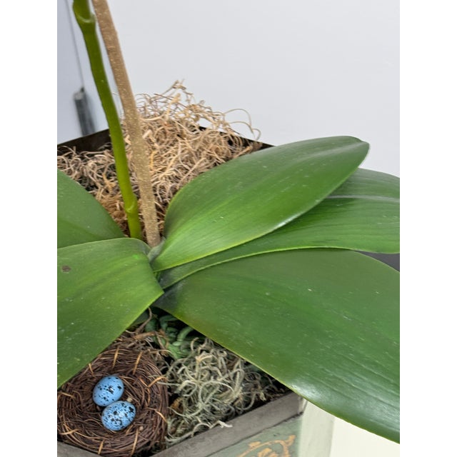Green Savage London Painted Tole Canister + Faux Orchid Arrangement, 19th-Century For Sale - Image 8 of 12