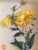 A delicate dimensional silk composition that adds texture and a collected, layered feel to a wall. Handcrafted Japanese...