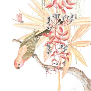 "Strictly for the Birds" Tropical Chinoiserie Painting by Allison Cosmos For Sale
