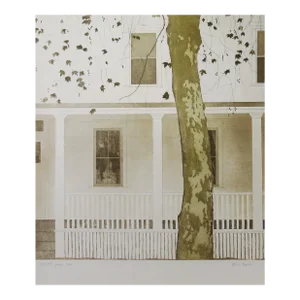 Tessa Beaver, Plane Tree, Circa 1980
