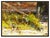 Message us to inquire about custom framing options! (Included for free with every purchase) The immaculate artwork is of...