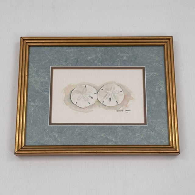 Sand Signed "Dianne Grusso '91." Original Sand Dollar Watercolor Still Life For Sale - Image 8 of 11