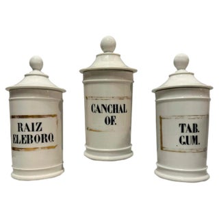 19th Century Valencian Ceramic Pharmacy Jars, 1870s, Set of 3 For Sale