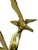 Brass Mid-Century Modern Brass and Marble "Birds in Flight" Table Sculpture, Attributed to C. Jeré For Sale - Image 8 of 12