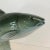 1990s Vintage Bohemian Czechoslovakian Majolica Porcelain Trout Fish Figurine by Royal Dux For Sale - Image 4 of 13