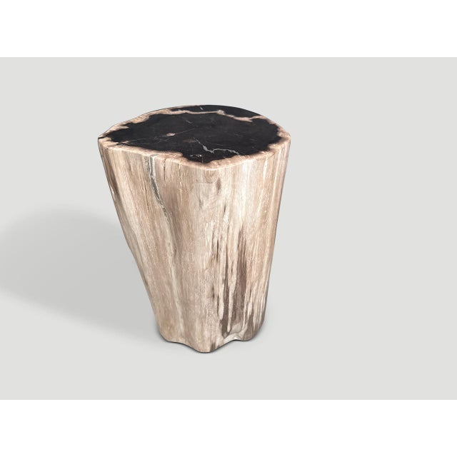 Contemporary Andrianna Shamaris Modern Organic High Quality Petrified Wood Side Table For Sale - Image 3 of 5