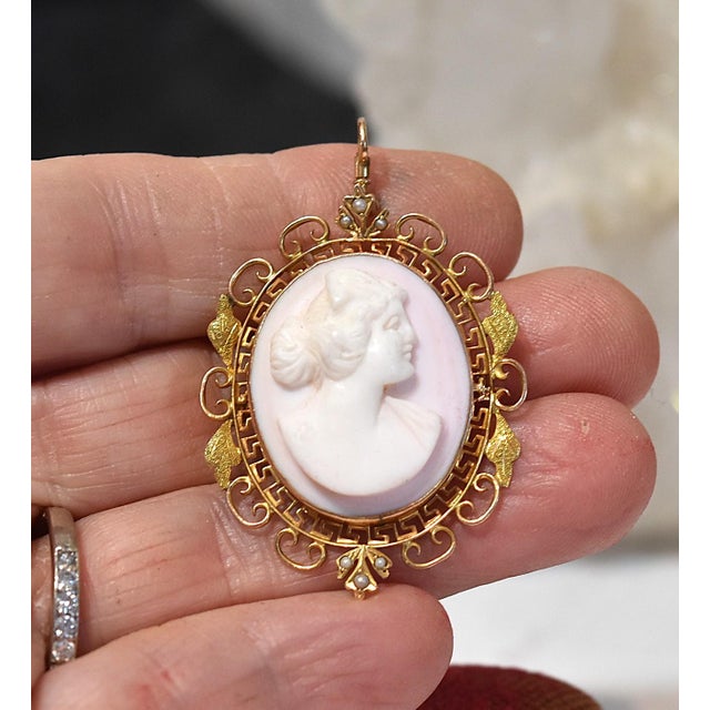 Antique 14k Conch Shell Cameo With Seed Pearls Brooch and Pendant For Sale - Image 13 of 13